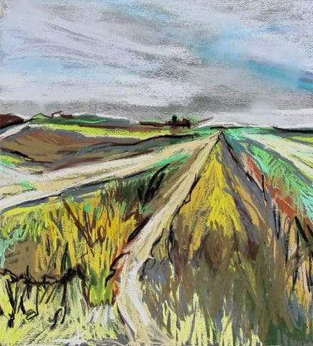 landschap in pastel