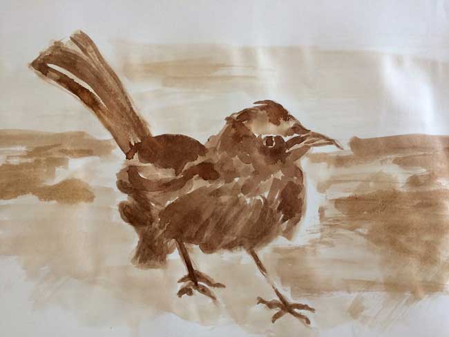 vogeltje
