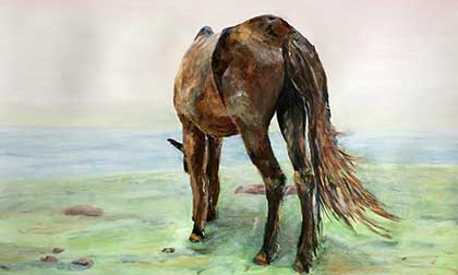 Paard met zee en mist