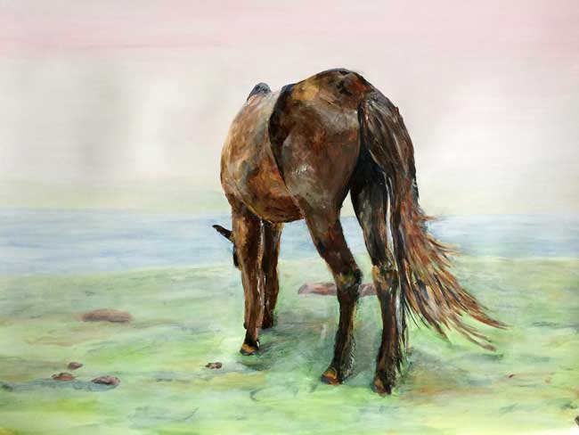 paard